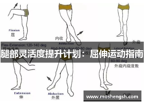 腿部灵活度提升计划：屈伸运动指南